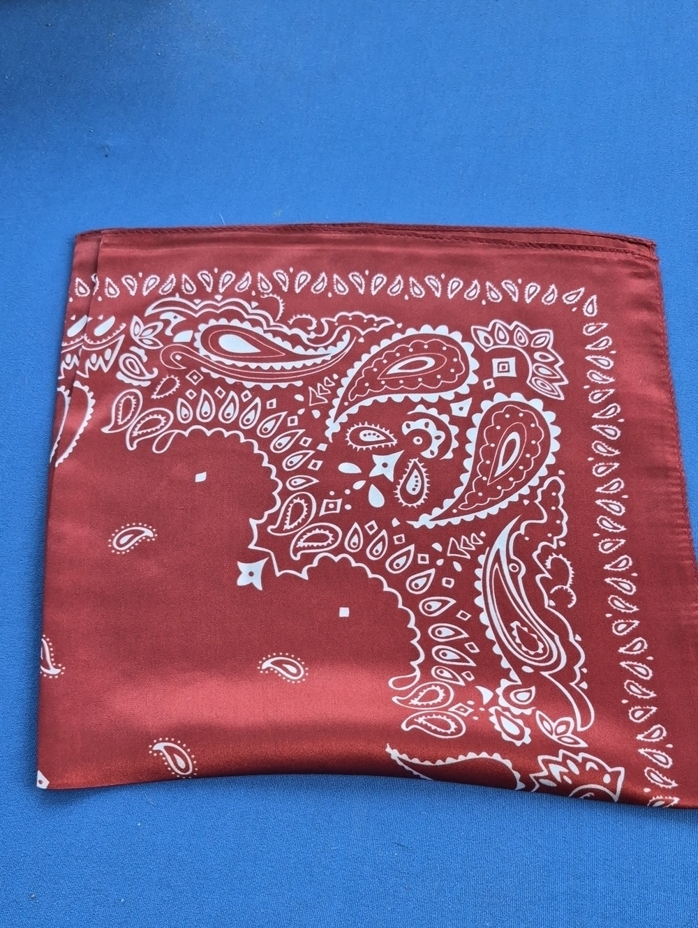 BANDANA PRINT SCARF 🐎 100% SILK 🐎 Perfect Gift! 🎁 20.87" x 20.87" 🌿 NWoT - Picture 4 of 4